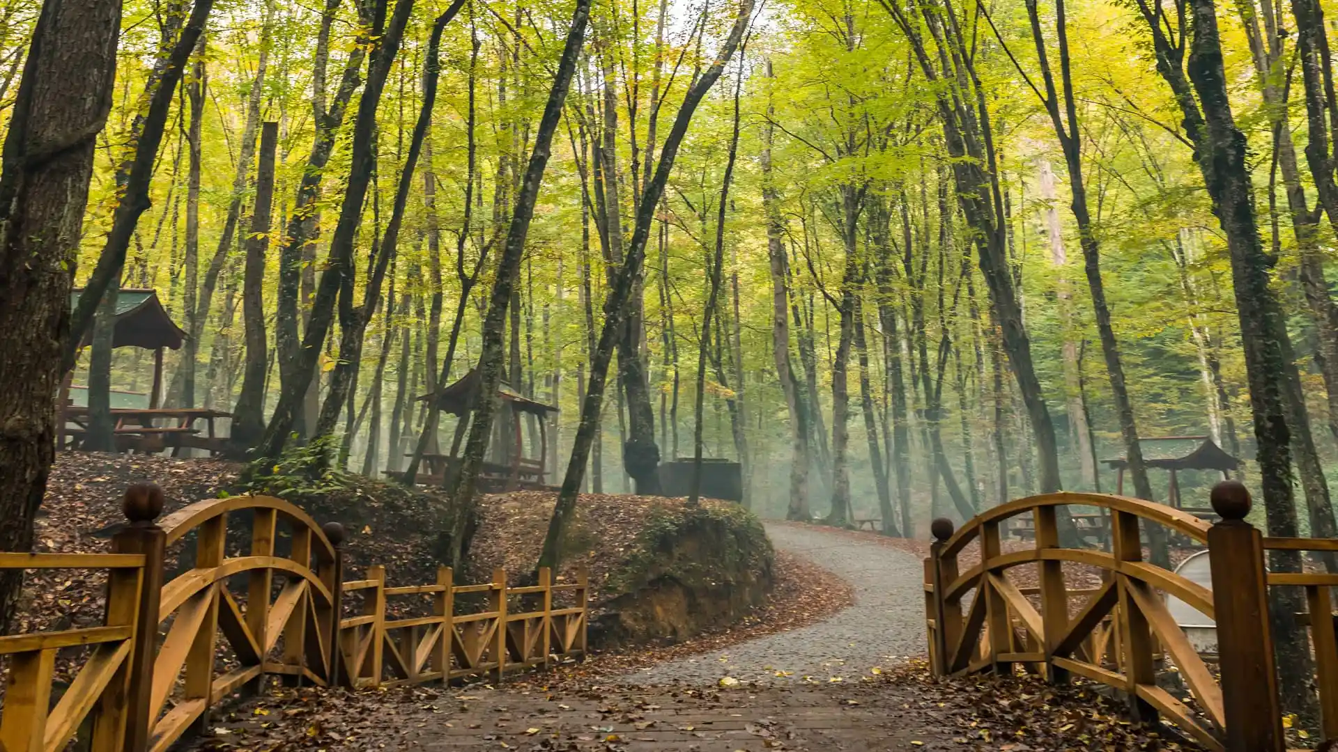 Belgrade: Kosutnjak forest hiking tour | ®ExcursionMania