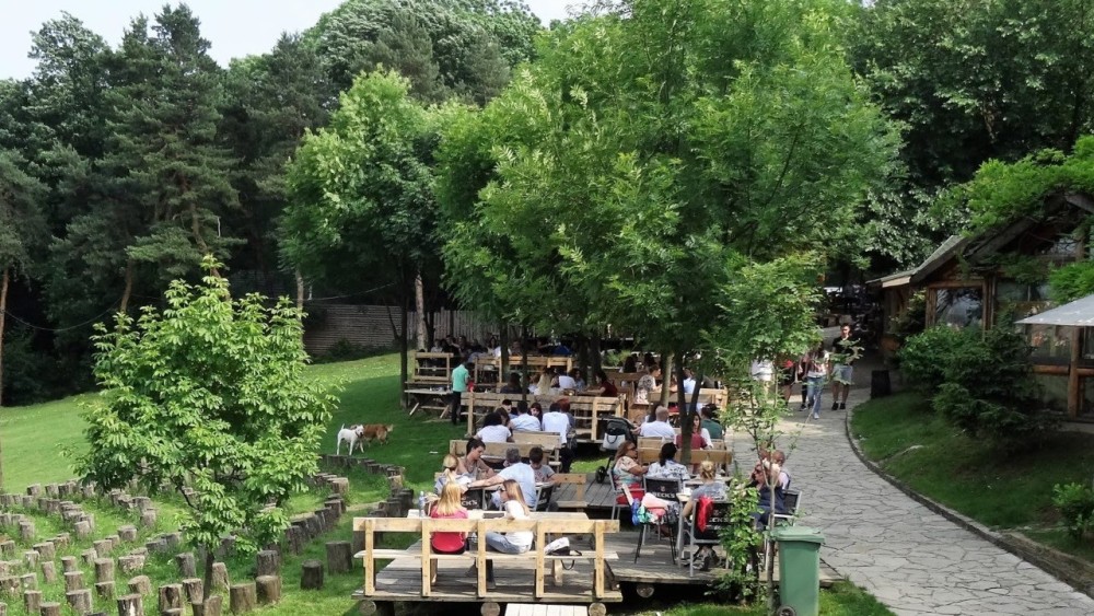 Belgrade: Kosutnjak forest hiking tour | ®ExcursionMania