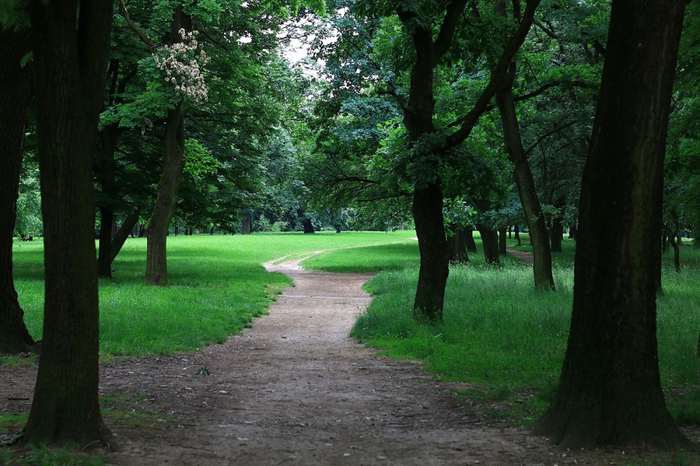 Belgrade: Kosutnjak forest hiking tour | ®ExcursionMania