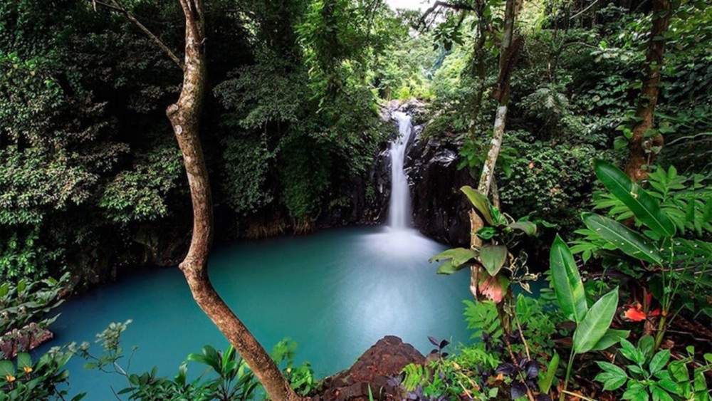North Bali: All Inclusive Guided Aling Waterfall Canyoning | ®ExcursionMania