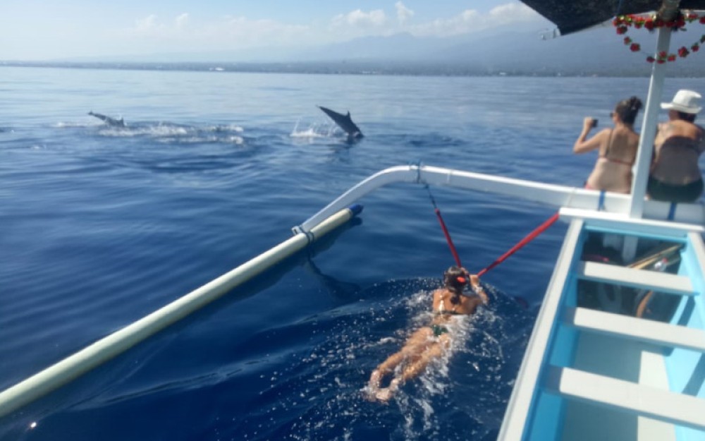 Lovina/Bali: Dolphin Watching Tour, Swimming and Snorkeling | ®ExcursionMania