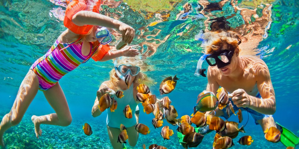 Lovina/Bali: Dolphin Watching Tour, Swimming and Snorkeling | ®ExcursionMania