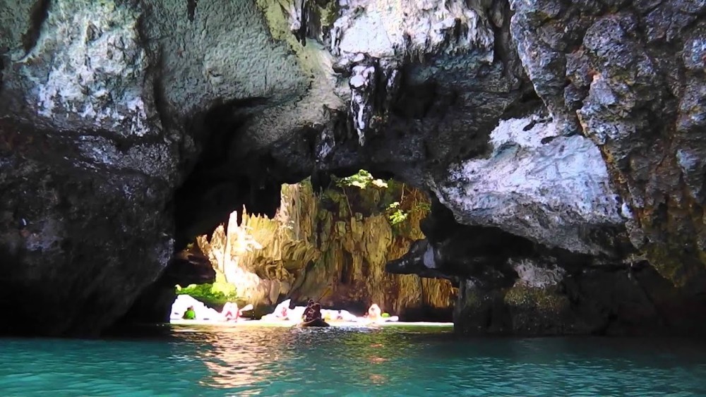 Dolphin Tour, Ngonga Cave, Monkeys, Paje Beach, The Rock | ®ExcursionMania