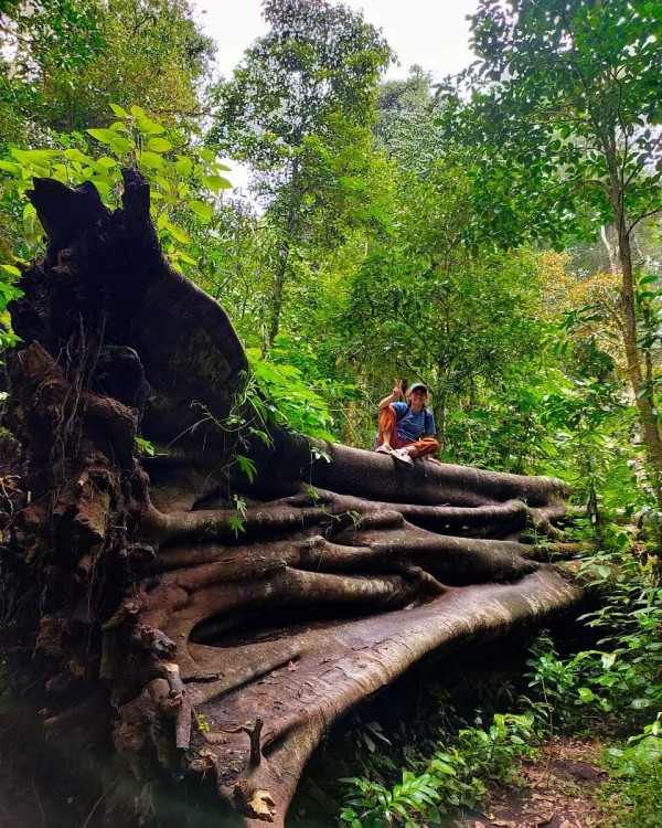 Munduk: Twin Lake Jungle Hike, Ulun Danu Temple, & Waterfall | ®ExcursionMania