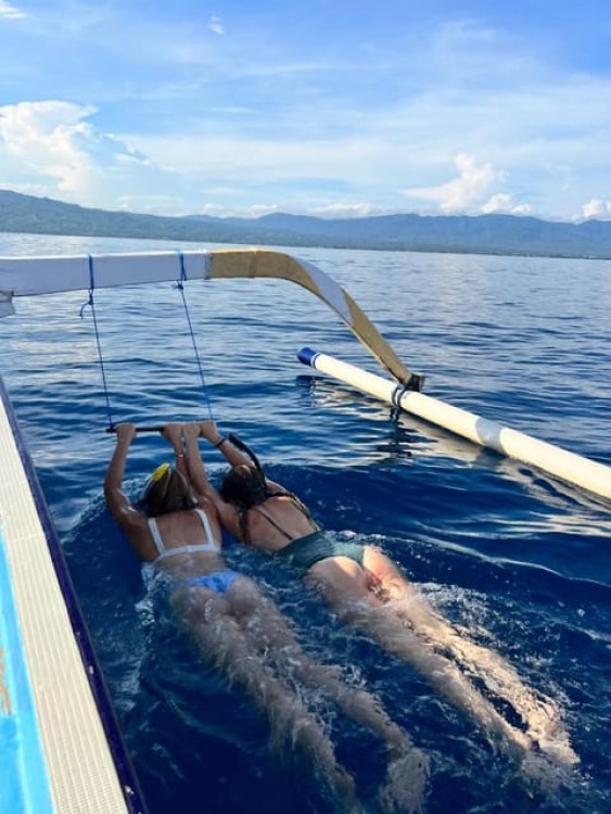 North Bali: Dolphin, Ulun Danu Temple, & Banyumala Waterfall | ®ExcursionMania