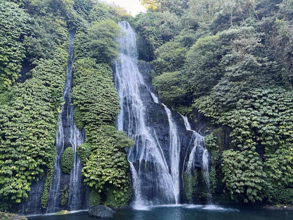 North Bali: Dolphin, Ulun Danu Temple, & Banyumala Waterfall | ®ExcursionMania