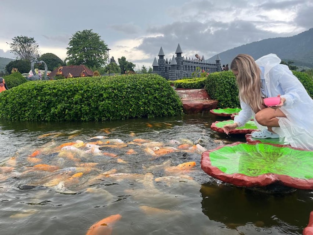 North Bali: Dolphin, Ulun Danu Temple, & Banyumala Waterfall | ®ExcursionMania