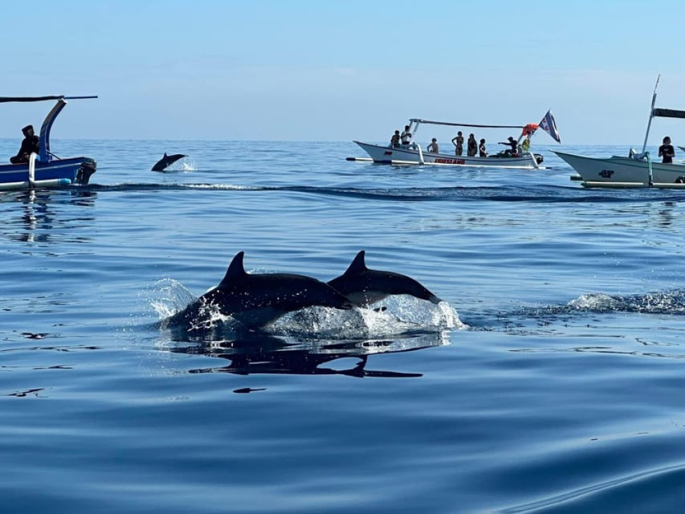 North Bali: Dolphin, Ulun Danu Temple, & Banyumala Waterfall | ®ExcursionMania