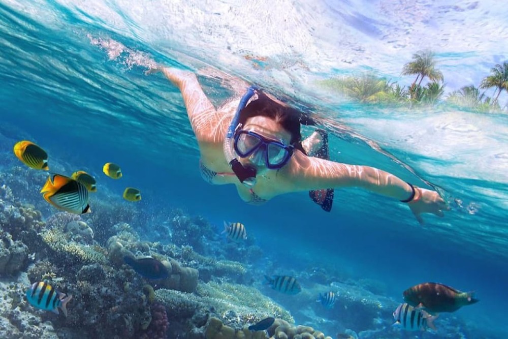 North Bali: Dolphin, Ulun Danu Temple, & Banyumala Waterfall | ®ExcursionMania
