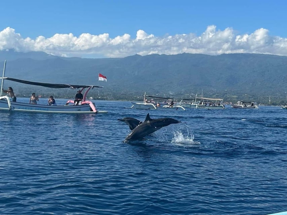 North Bali: Dolphin, Ulun Danu Temple, & Banyumala Waterfall | ®ExcursionMania