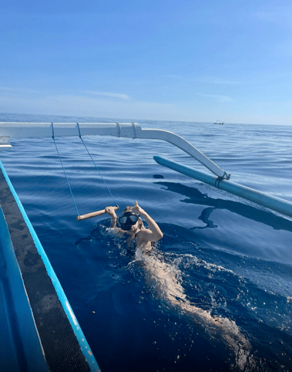 North Bali: Dolphin, Ulun Danu Temple, & Banyumala Waterfall | ®ExcursionMania