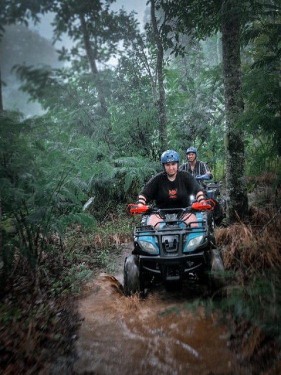 Bali: Dolphin Swimming Tour with ATV Quad Bike & Waterfall | ®ExcursionMania