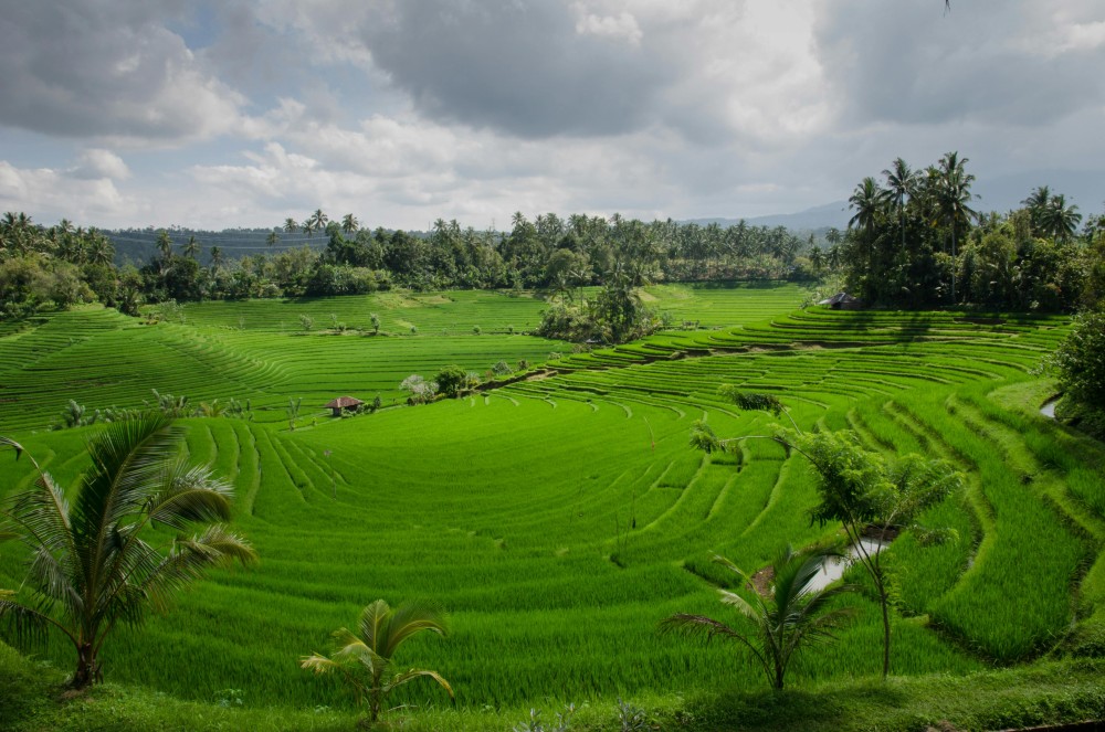 3-Day Private Tour of Bali Highlights | ®ExcursionMania