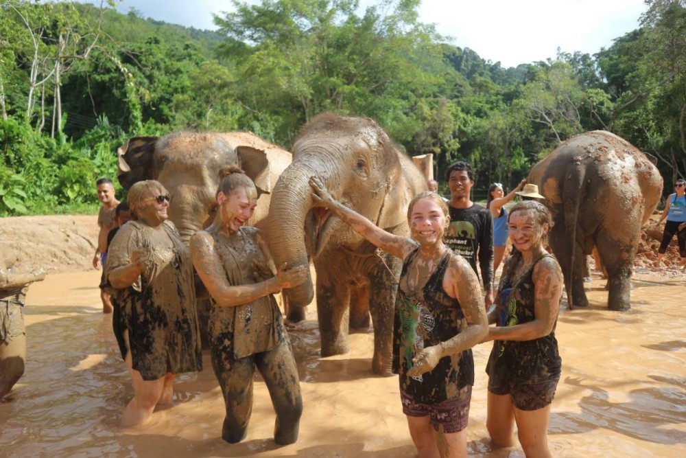 Phuket: Phuket Elephant Care Sanctuary ECO Tour | ®ExcursionMania