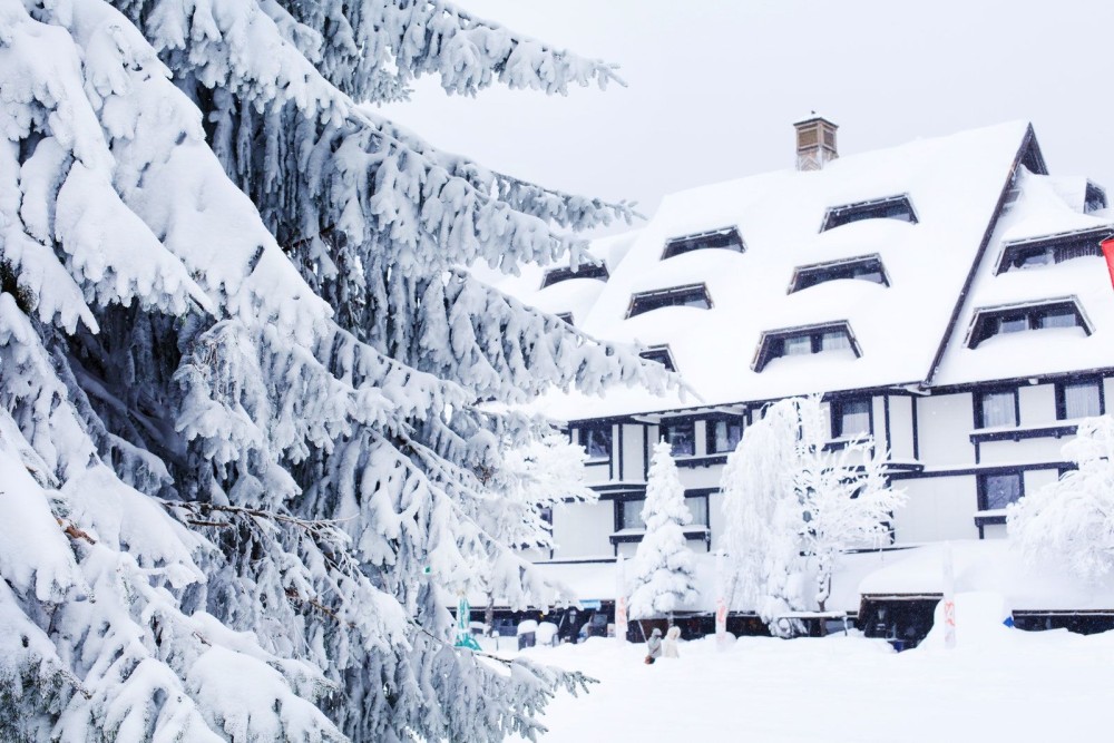 From Belgrade: Kopaonik national park & Ski resort-full day | ®ExcursionMania