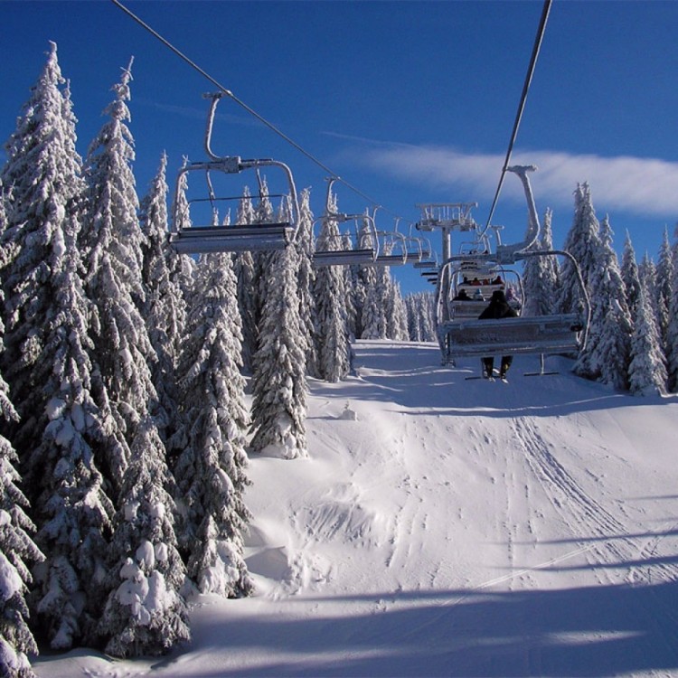 From Belgrade: Kopaonik national park & Ski resort-full day | ®ExcursionMania