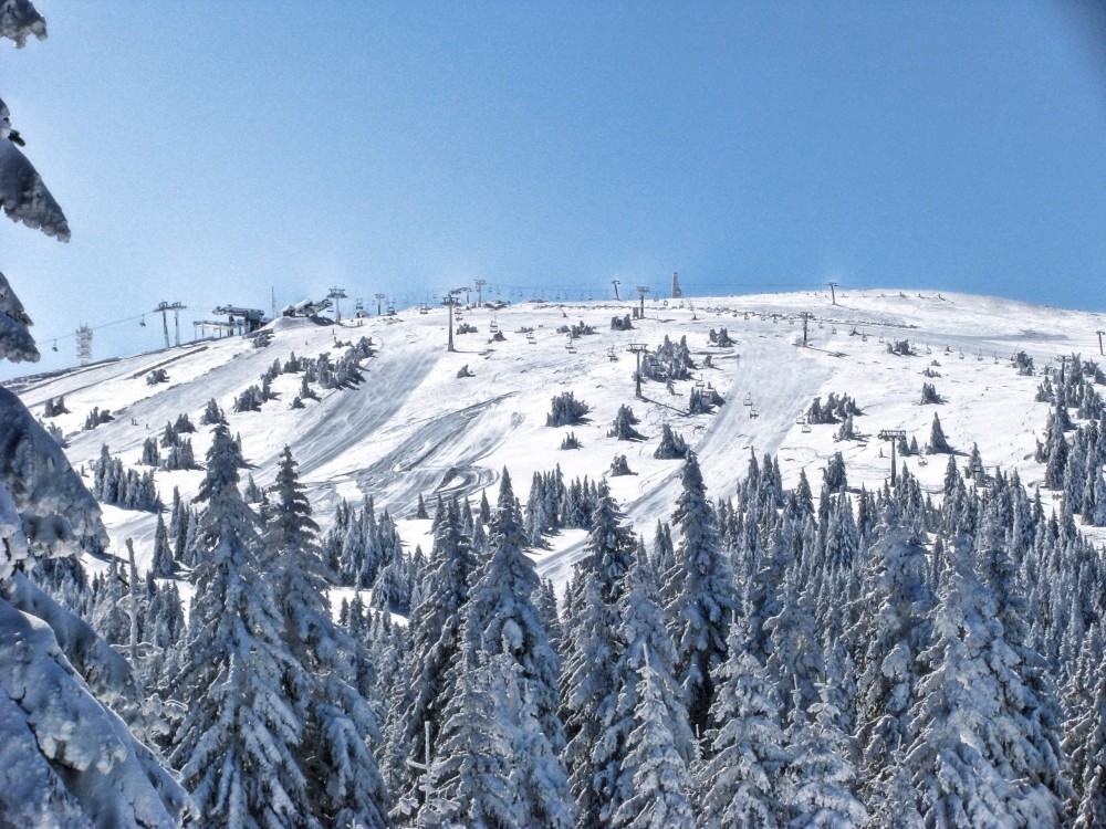 From Belgrade: Kopaonik national park & Ski resort-full day | ®ExcursionMania