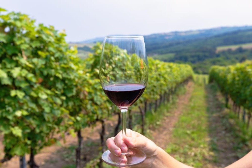 From Roma: Montepulciano and Montalcino, on the Wine Routes | ®ExcursionMania