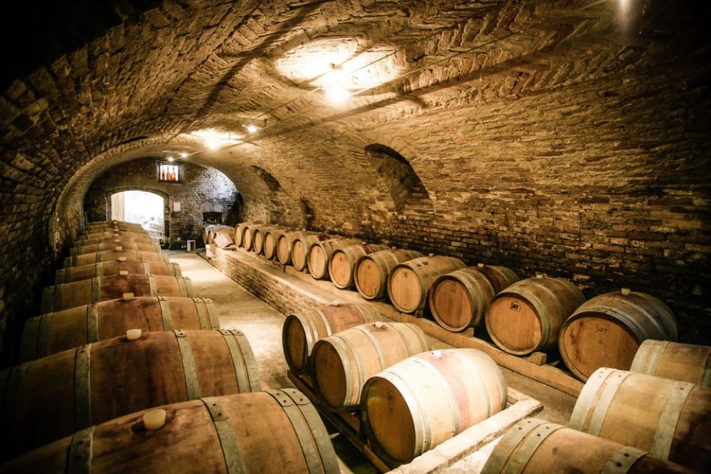 From Roma: Montepulciano and Montalcino, on the Wine Routes | ®ExcursionMania
