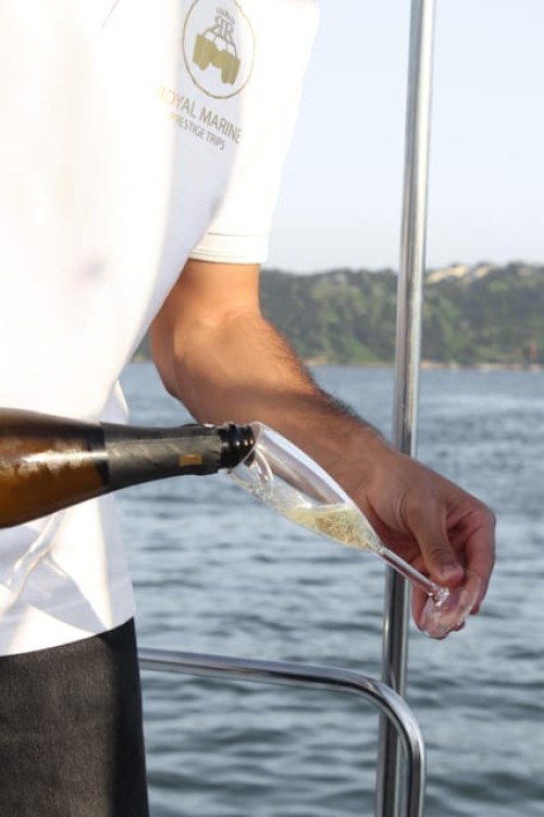 Lisbon: Private Luxury Catamaran Tour with Welcome Drink | ®ExcursionMania