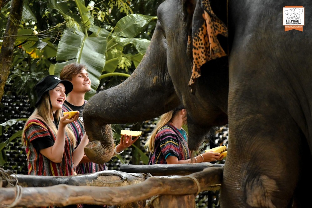 Phuket City Tour with Viewpoints, Temples & Elephant Feeding | ®ExcursionMania