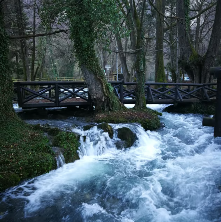 From Belgrade: Tara NP & Drina river & House on the Drina | ®ExcursionMania