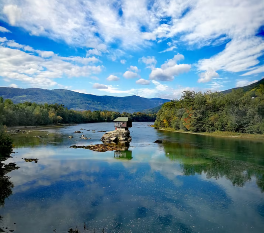 From Belgrade: Tara NP & Drina river & House on the Drina | ®ExcursionMania