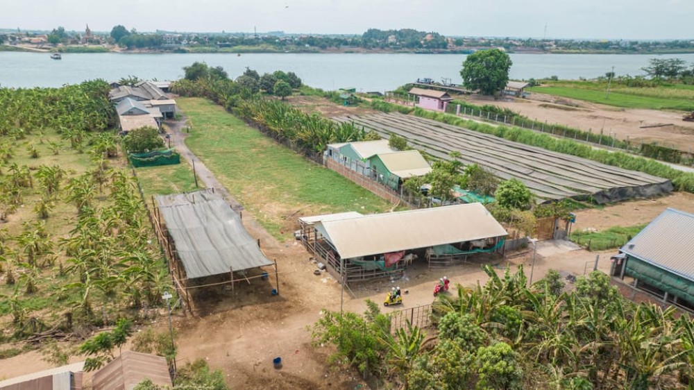 Phnom Penh Silk Island Sunset Haft Day Vespa Tour | ®ExcursionMania