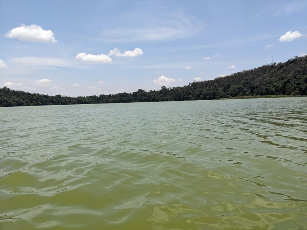 Arusha: Lake Duluti Canoeing, Nature Walk Guided Tour and Birding | ®ExcursionMania