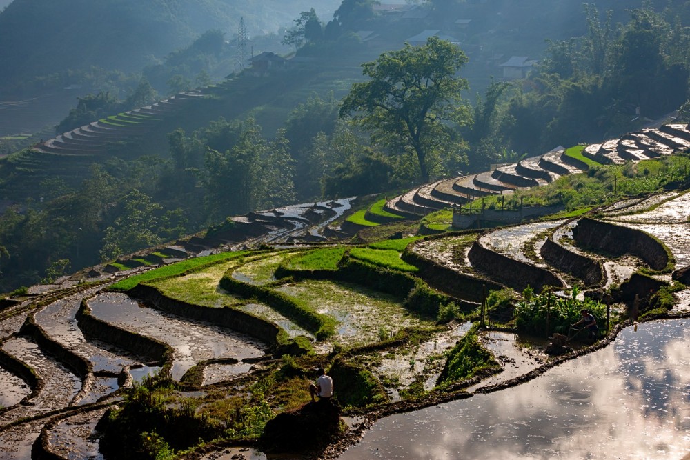 Sapa 2-Days Tour Fansipan Peak Conquer Limousine Transfer | ®ExcursionMania