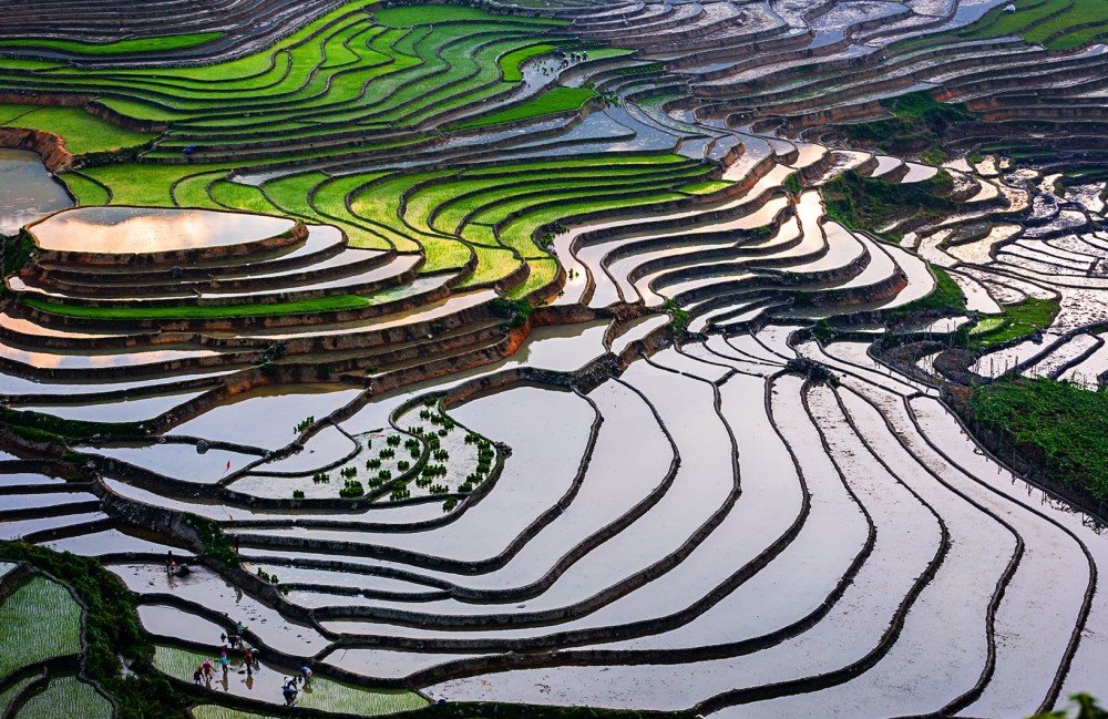 Sapa 3-Day Trekking Tour with Fansipan Cable Car | ®ExcursionMania