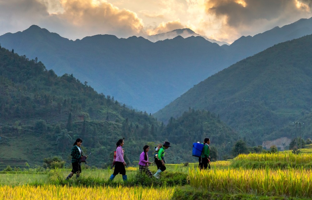 Sapa 3-Day Trekking Tour with Fansipan Cable Car | ®ExcursionMania