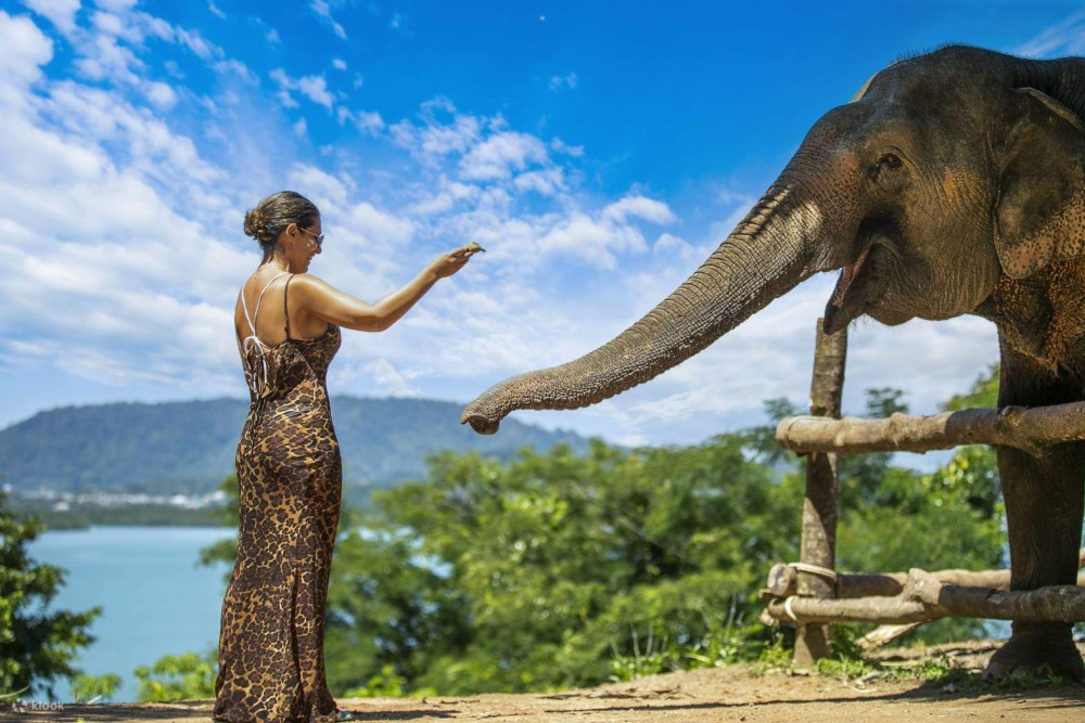 Phuket: Full-Day Elephant Explorer at Phuket Elephant Care | ®ExcursionMania