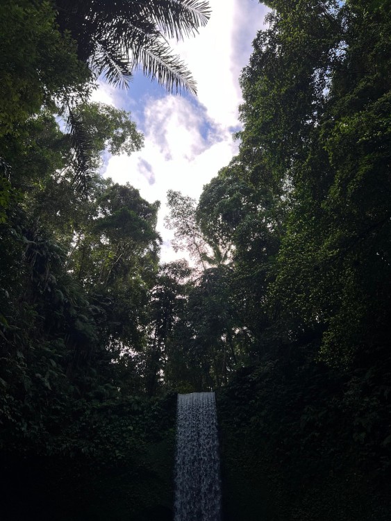 Best of Ubud Waterfalls, Tegalalang Rice Terrace and Swing Tour | ®ExcursionMania