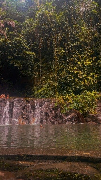 Best of Ubud Waterfalls, Tegalalang Rice Terrace and Swing Tour | ®ExcursionMania