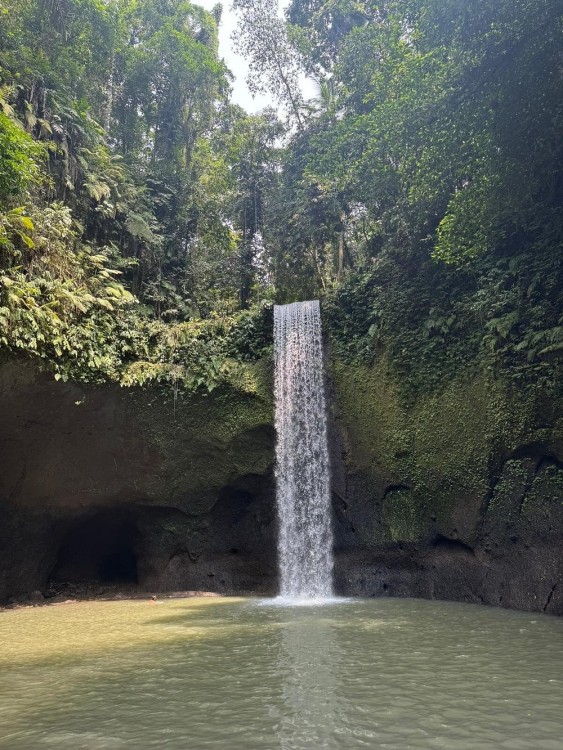 Best of Ubud Waterfalls, Tegalalang Rice Terrace and Swing Tour | ®ExcursionMania