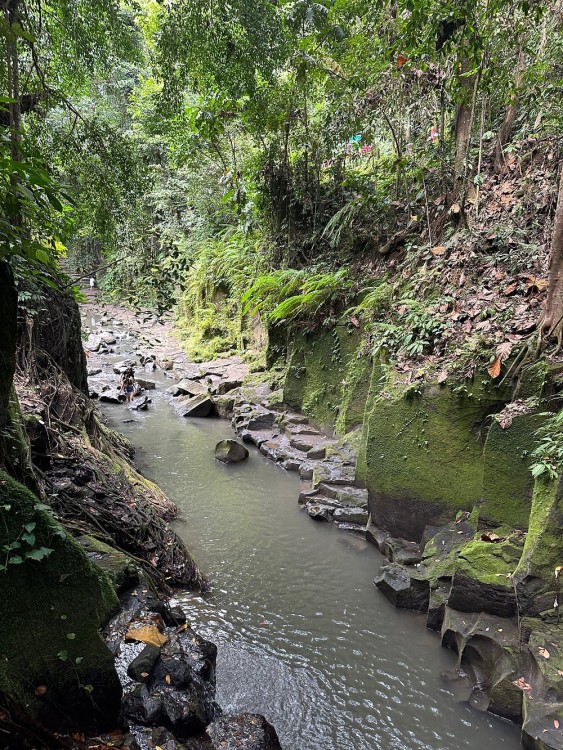 Best of Ubud Waterfalls, Tegalalang Rice Terrace and Swing Tour | ®ExcursionMania