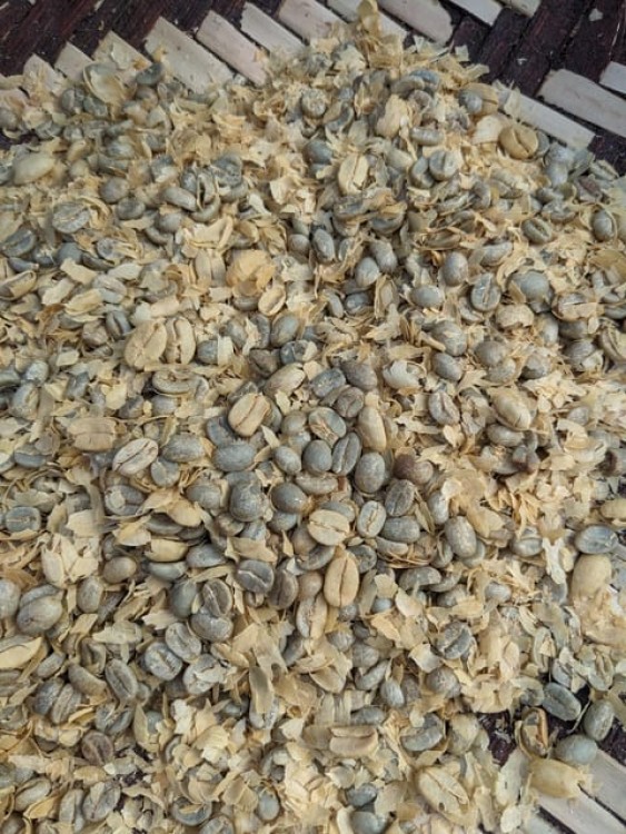 Arusha: Coffee Tour with Tasting and Farm Visit | ®ExcursionMania