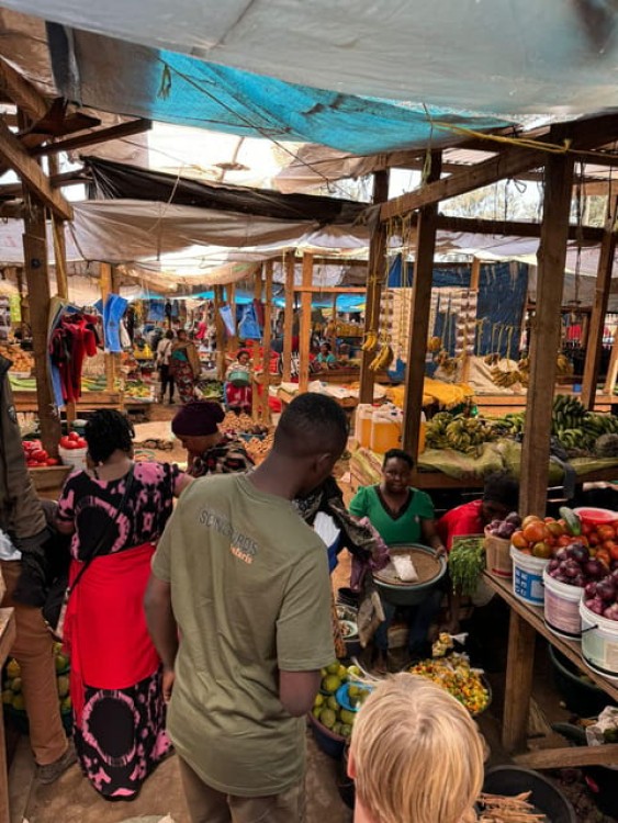 Arusha Guided Walking City Tour Small Group in the City | ®ExcursionMania