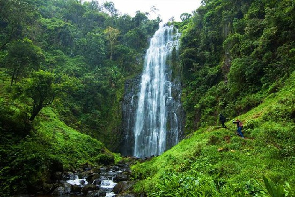 Arusha: Materuni Waterfall &Local Coffee Tour & Hot Spring | ®ExcursionMania