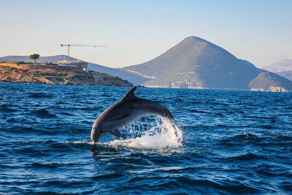 Blue Cave, Mamula Island, Submarine Tunnel, Lady of the Rocks 3hr | ®ExcursionMania