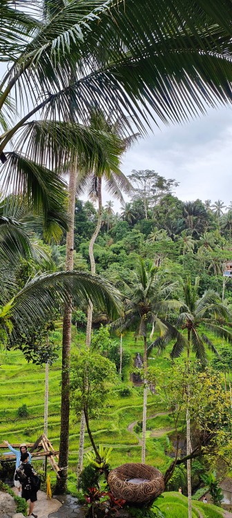 Mount Batur Jeep Tour and Hot Spring | ®ExcursionMania