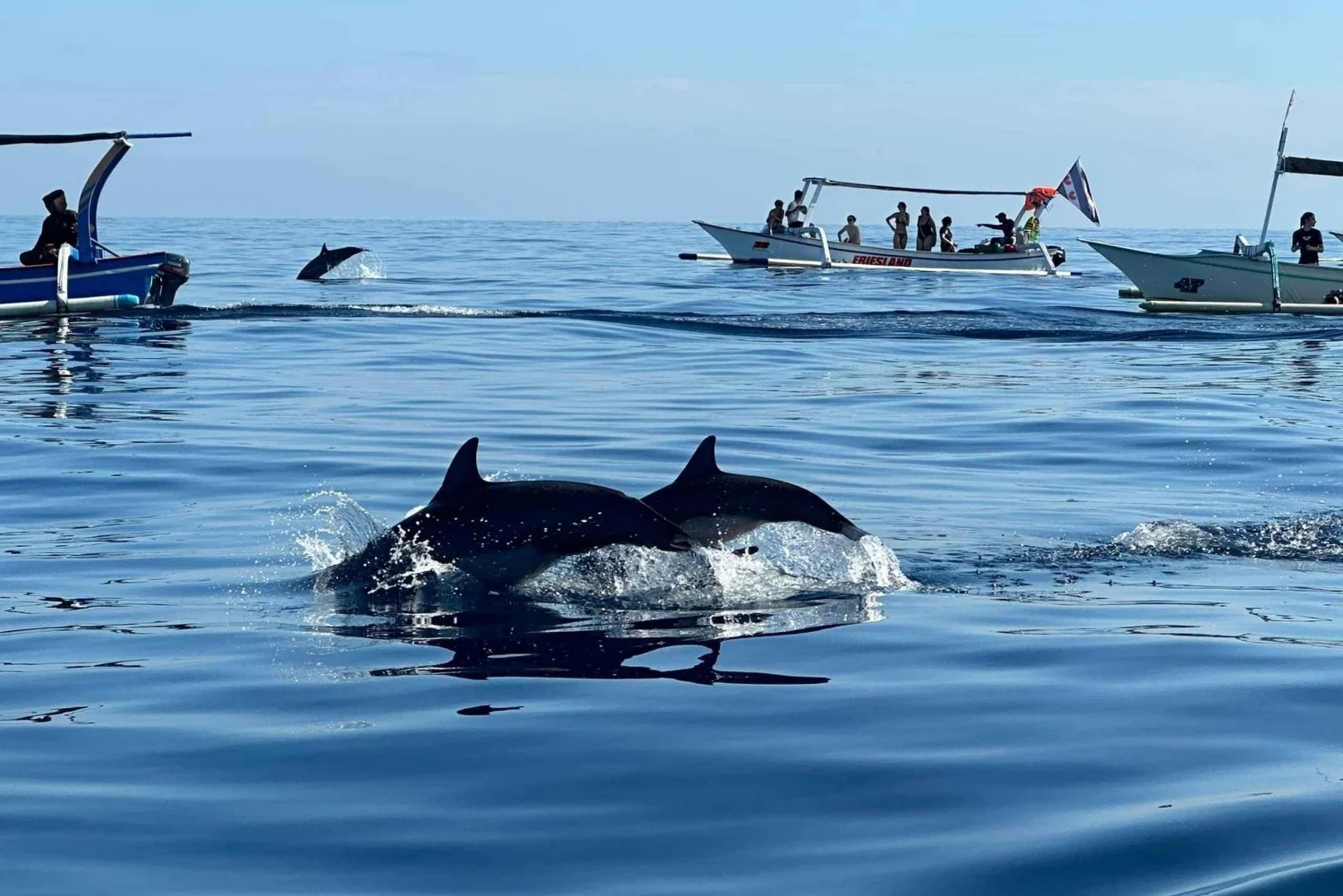 Best Lovina Sunrise Dolphins Watching Tour | ®ExcursionMania