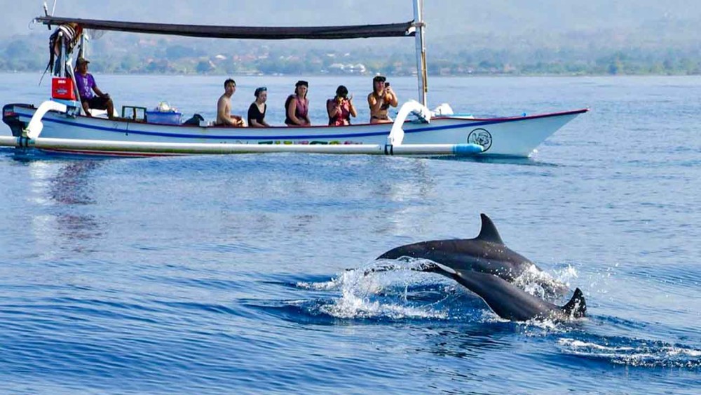 Best Lovina Sunrise Dolphins Watching Tour | ®ExcursionMania