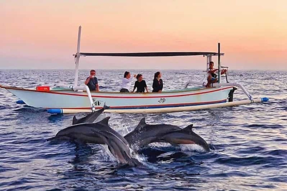 Best Lovina Sunrise Dolphins Watching Tour | ®ExcursionMania