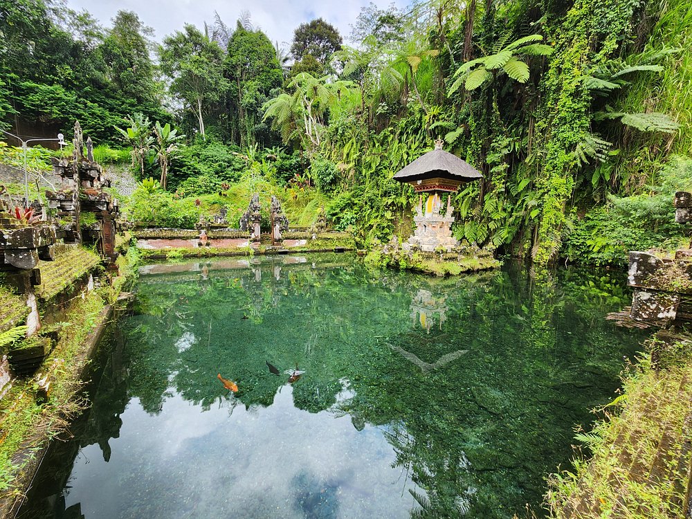 Ancient Temples and Jatiluwih Rice Terrace Private Tour | ®ExcursionMania