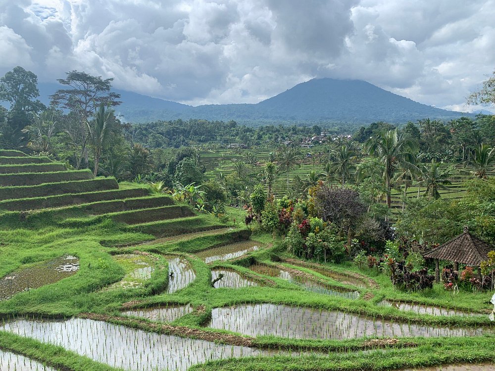 Ancient Temples and Jatiluwih Rice Terrace Private Tour | ®ExcursionMania