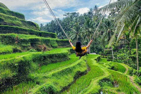 Ubud Swing, Rice Terrace and Waterfall Highlights Tour | ®ExcursionMania