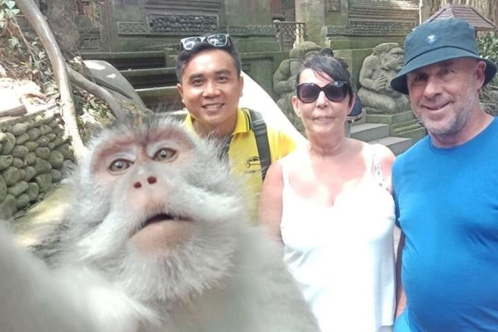 Bali Full-Day Traditional Village Sightseeing Trip All Inclusive | ®ExcursionMania