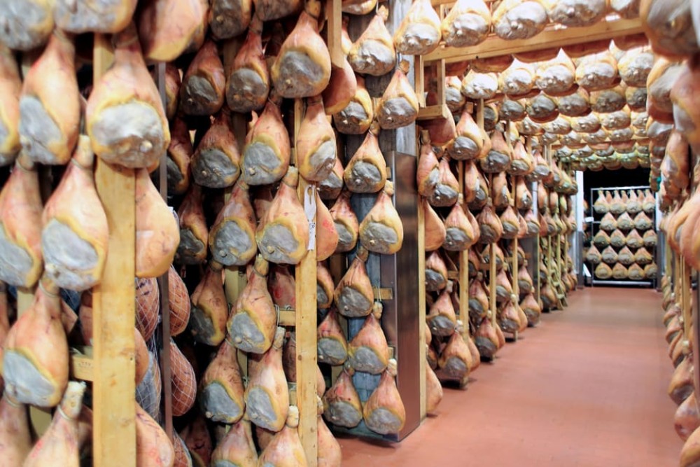 From Milan: Parmas Treasures and Grana tasting | ®ExcursionMania